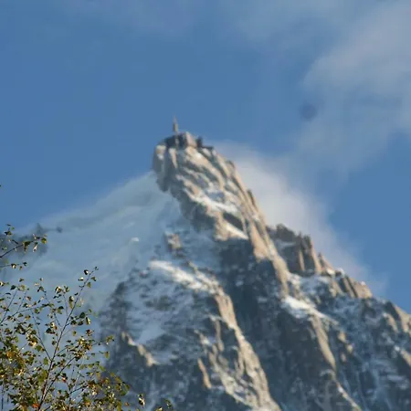 Chalet Alpine Rose Chamonix Exterior foto