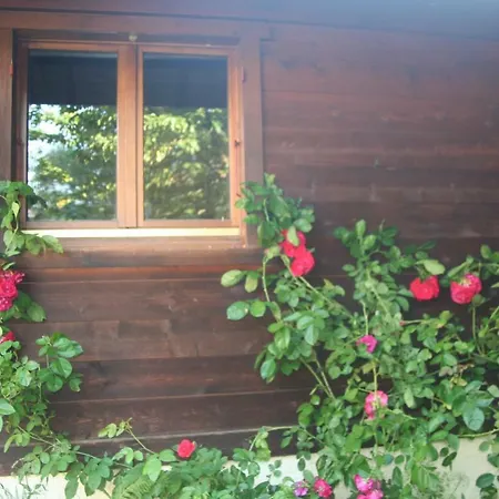 Chalet Alpine Rose Chamonix Exterior foto